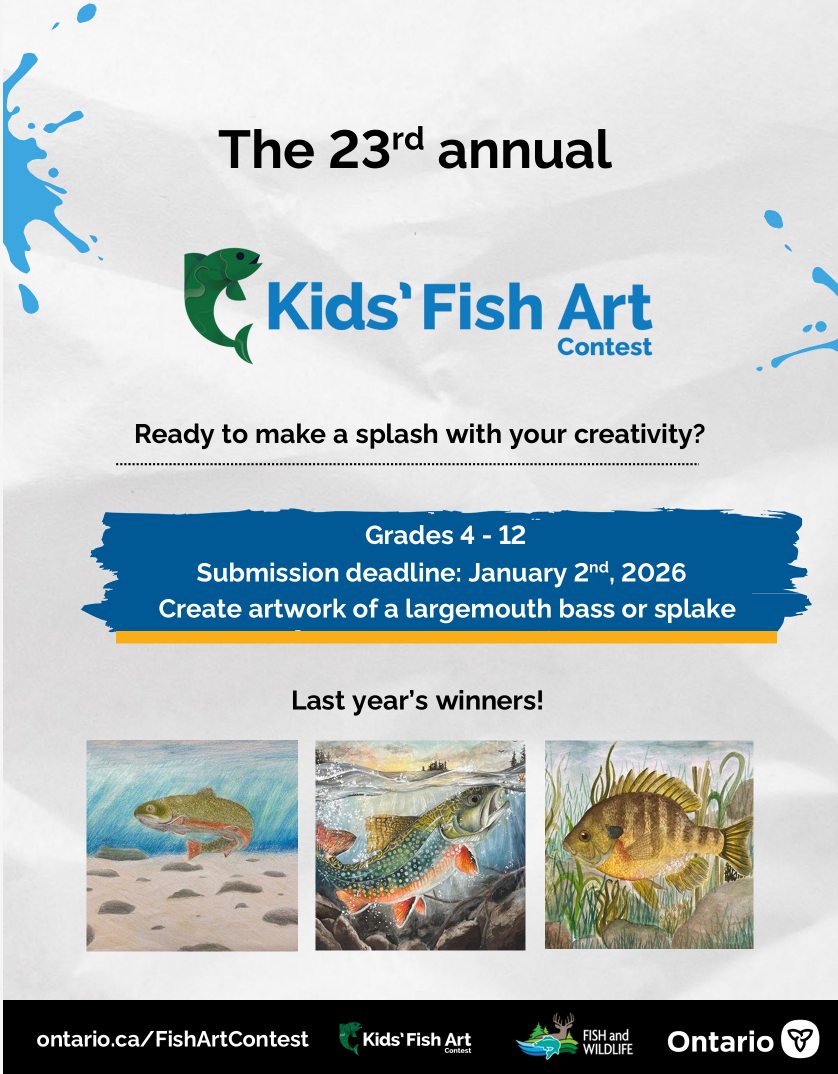 Screenshot 2025 12 13 at 11